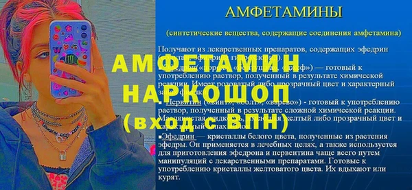 хмурый Абаза