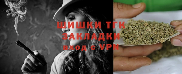 хмурый Абаза