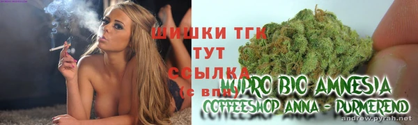 прущие грибы Абинск