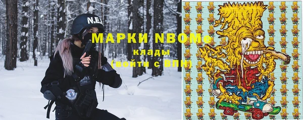 хмурый Абаза