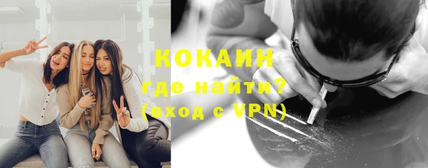 прущие грибы Абинск