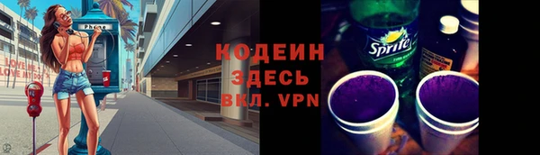 хмурый Абаза