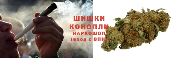 прущие грибы Абинск