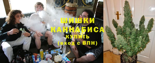 прущие грибы Абинск