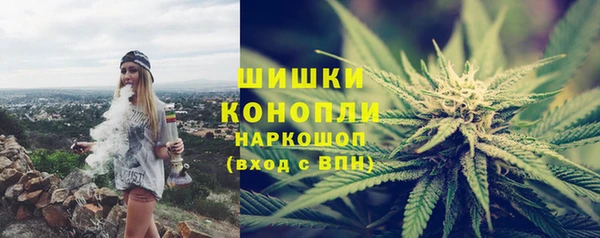 прущие грибы Абинск