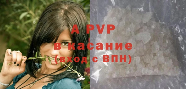 хмурый Абаза