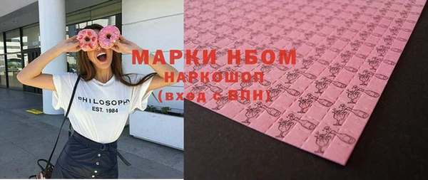 хмурый Абаза