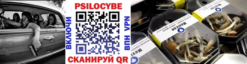 купить наркотик  mega как войти  Псилоцибиновые грибы Cubensis  Кохма 