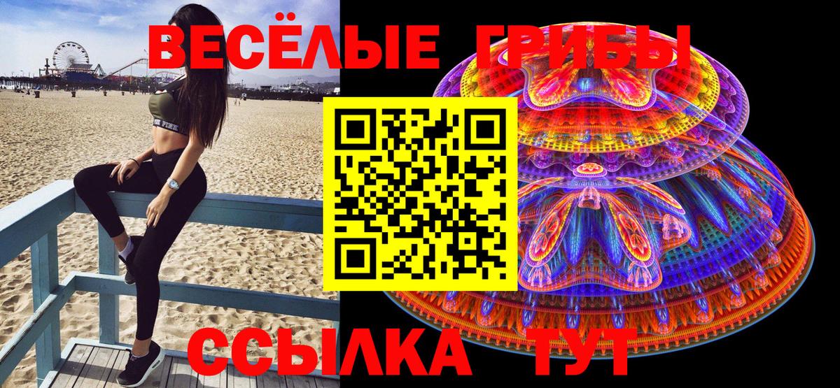 Кохма  Галлюциногенные грибы мицелий  цена   Вход с VPN  Псилоцибиновые грибы GOLDEN TEACHER 